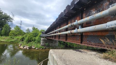 Almost The Whole Thing - 20240808_150554.jpg