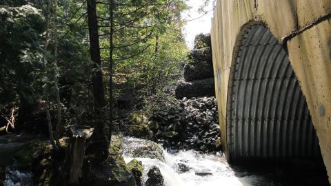 Photo from Will I Forever Be Alone.... - MAY 2023