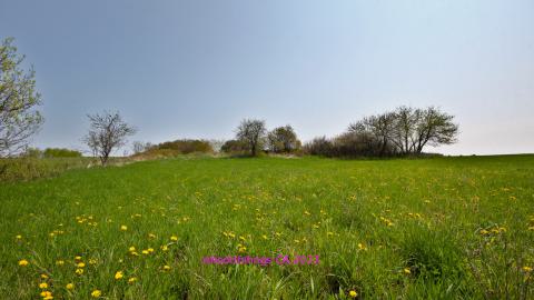 Will I Forever Be Alone.... - MAY 2023 - IMG_5280.JPG