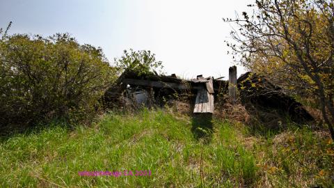 Will I Forever Be Alone.... - MAY 2023 - IMG_5281.JPG