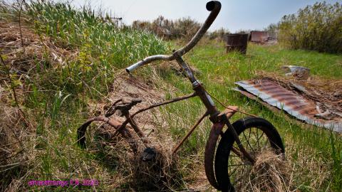 Photo from Will I Forever Be Alone.... - MAY 2023