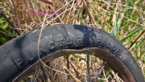 Will I Forever Be Alone.... - MAY 2023 - IMG_5285.JPG