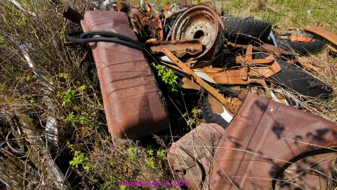 Will I Forever Be Alone.... - MAY 2023 - IMG_5289.JPG