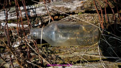 Will I Forever Be Alone.... - MAY 2023 - IMG_5290.JPG