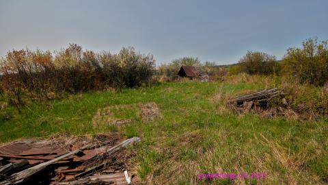 Will I Forever Be Alone.... - MAY 2023 - IMG_5291.JPG