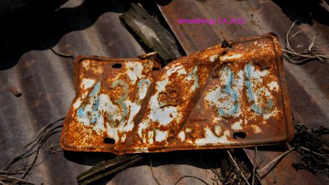 Will I Forever Be Alone.... - MAY 2023 - IMG_5293.JPG