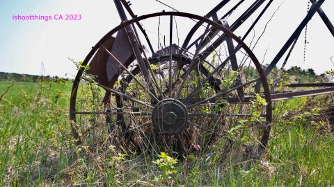 Will I Forever Be Alone.... - MAY 2023 - IMG_5296.JPG