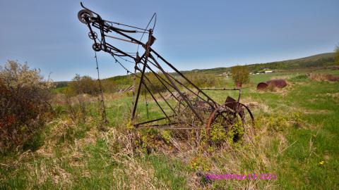 Will I Forever Be Alone.... - MAY 2023 - IMG_5299.JPG