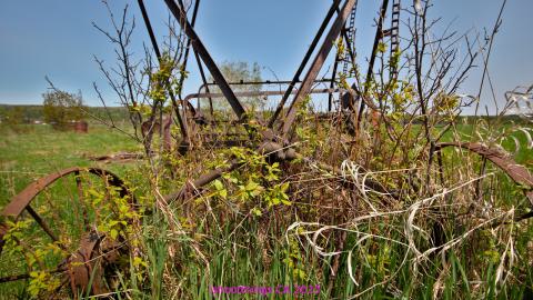 Will I Forever Be Alone.... - MAY 2023 - IMG_5302.JPG