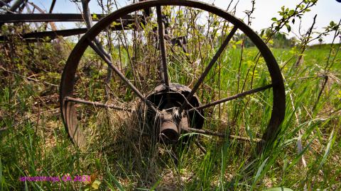 Will I Forever Be Alone.... - MAY 2023 - IMG_5304.JPG