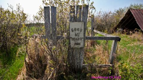 Will I Forever Be Alone.... - MAY 2023 - IMG_5305.JPG