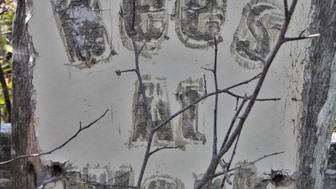 Will I Forever Be Alone.... - MAY 2023 - IMG_5306.JPG