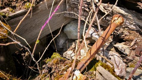 Will I Forever Be Alone.... - MAY 2023 - IMG_5307.JPG