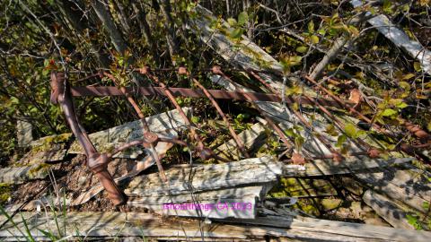 Will I Forever Be Alone.... - MAY 2023 - IMG_5312.JPG