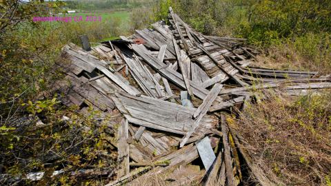 Will I Forever Be Alone.... - MAY 2023 - IMG_5316.JPG