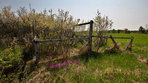 Will I Forever Be Alone.... - MAY 2023 - IMG_5317.JPG