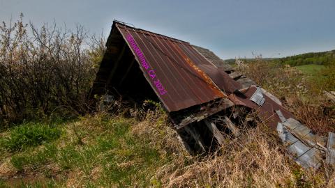 Will I Forever Be Alone.... - MAY 2023 - IMG_5318.JPG