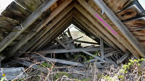 Will I Forever Be Alone.... - MAY 2023 - IMG_5319.JPG