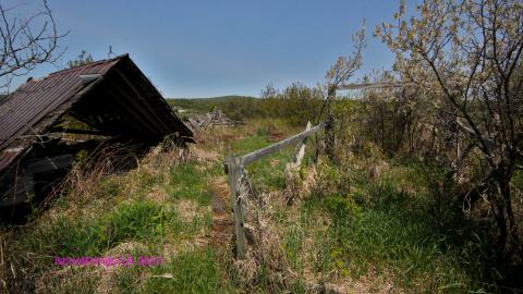 Will I Forever Be Alone.... - MAY 2023 - IMG_5321.JPG