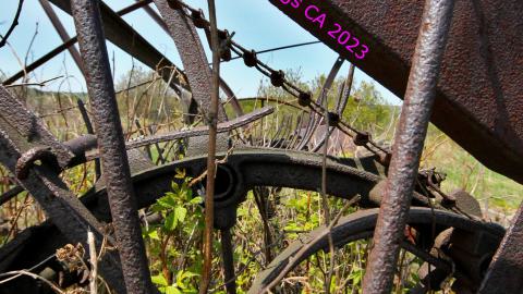 Will I Forever Be Alone.... - MAY 2023 - IMG_5322.JPG