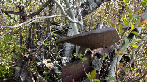 Will I Forever Be Alone.... - MAY 2023 - IMG_5323.JPG