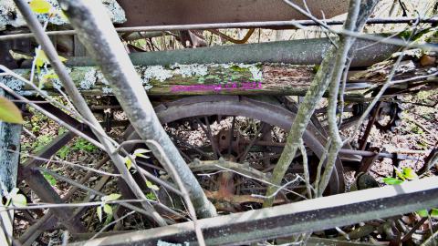 Will I Forever Be Alone.... - MAY 2023 - IMG_5326.JPG