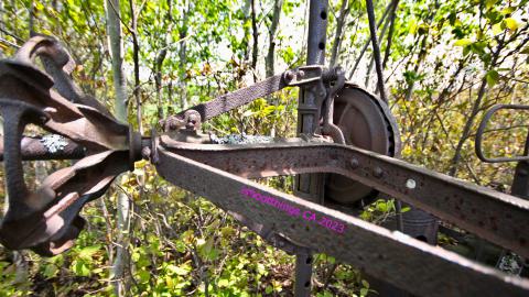 Will I Forever Be Alone.... - MAY 2023 - IMG_5327.JPG