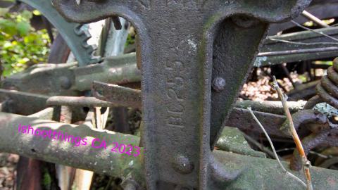 Will I Forever Be Alone.... - MAY 2023 - IMG_5328.JPG