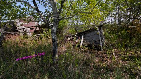 Will I Forever Be Alone.... - MAY 2023 - IMG_5332.JPG