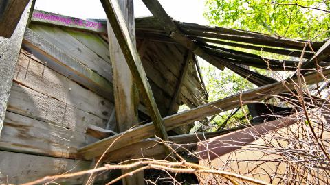 Will I Forever Be Alone.... - MAY 2023 - IMG_5334.JPG