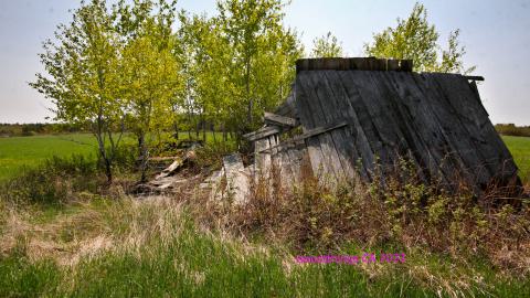 Will I Forever Be Alone.... - MAY 2023 - IMG_5335.JPG