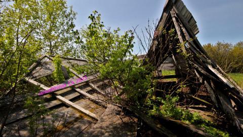 Will I Forever Be Alone.... - MAY 2023 - IMG_5336.JPG