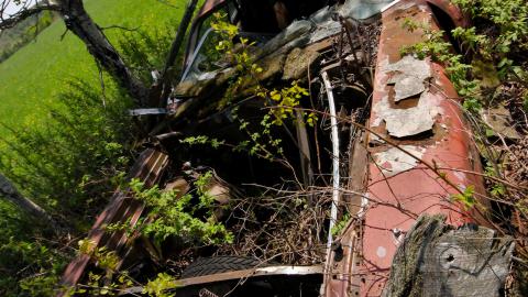 Will I Forever Be Alone.... - MAY 2023 - IMG_5337.JPG