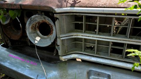 Will I Forever Be Alone.... - MAY 2023 - IMG_5340.JPG