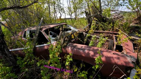 Will I Forever Be Alone.... - MAY 2023 - IMG_5341.JPG