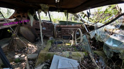 Will I Forever Be Alone.... - MAY 2023 - IMG_5343.JPG