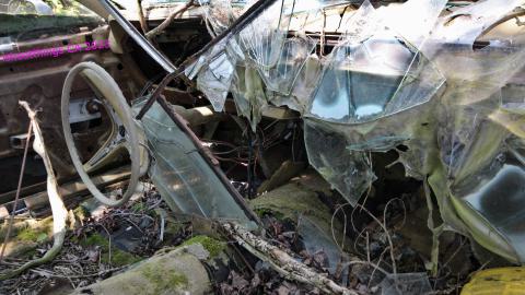 Will I Forever Be Alone.... - MAY 2023 - IMG_5344.JPG