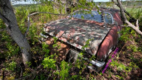 Will I Forever Be Alone.... - MAY 2023 - IMG_5345.JPG