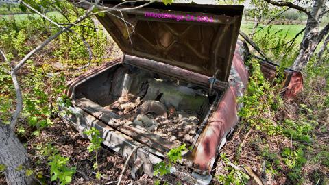 Will I Forever Be Alone.... - MAY 2023 - IMG_5346.JPG