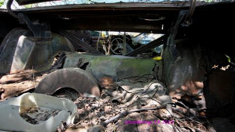 Will I Forever Be Alone.... - MAY 2023 - IMG_5347.JPG