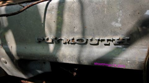 Will I Forever Be Alone.... - MAY 2023 - IMG_5348.JPG