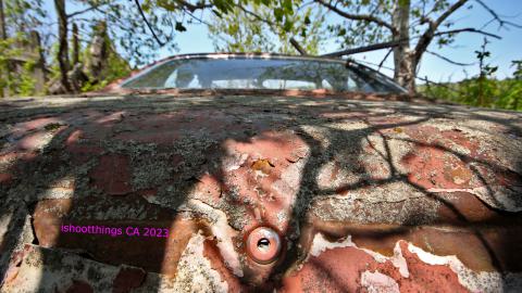 Will I Forever Be Alone.... - MAY 2023 - IMG_5350.JPG