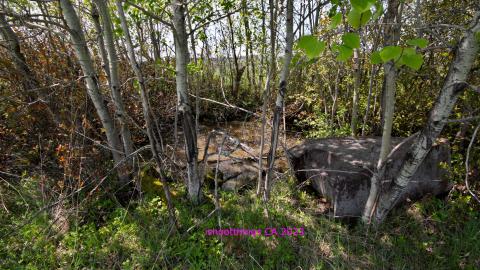 Will I Forever Be Alone.... - MAY 2023 - IMG_5351.JPG