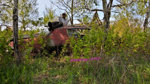 Will I Forever Be Alone.... - MAY 2023 - IMG_5357.JPG