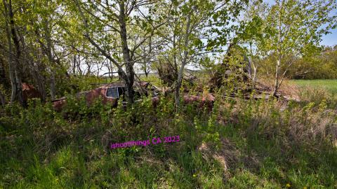 Will I Forever Be Alone.... - MAY 2023 - IMG_5359.JPG