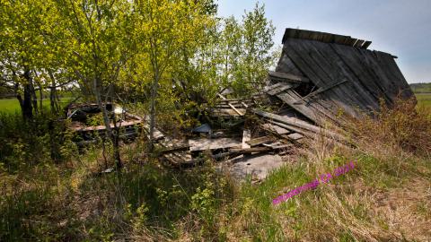 Will I Forever Be Alone.... - MAY 2023 - IMG_5360.JPG