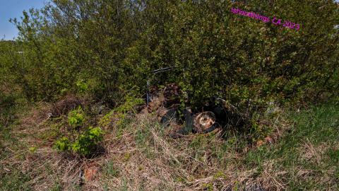 Will I Forever Be Alone.... - MAY 2023 - IMG_5361.JPG