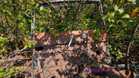 Will I Forever Be Alone.... - MAY 2023 - IMG_5362.JPG