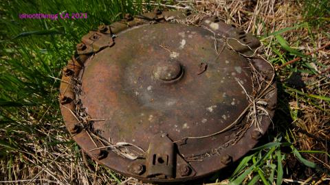 Will I Forever Be Alone.... - MAY 2023 - IMG_5363.JPG