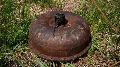 Will I Forever Be Alone.... - MAY 2023 - IMG_5364.JPG